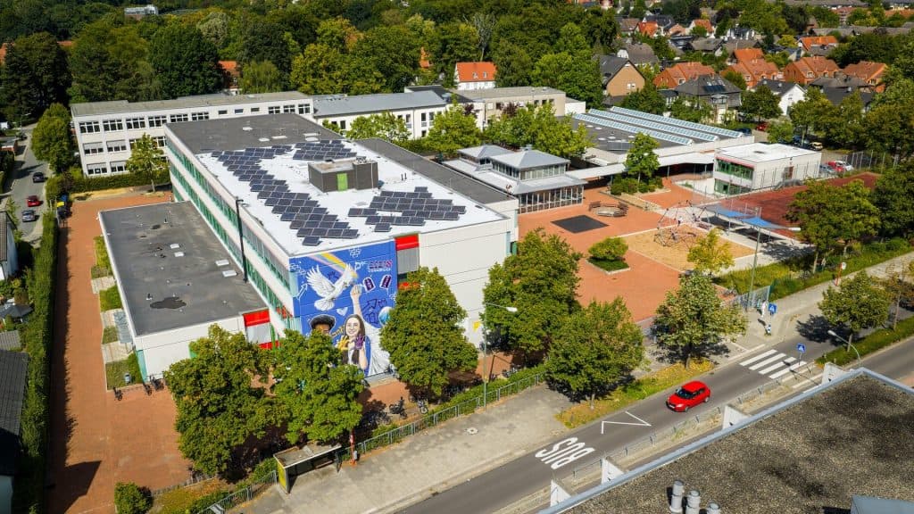 TMS Benzi groß